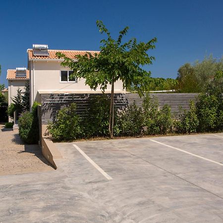 Grappolo Lefkada Villas - Vilana Ideal For Families And Small Groups Apolpaina Exterior photo