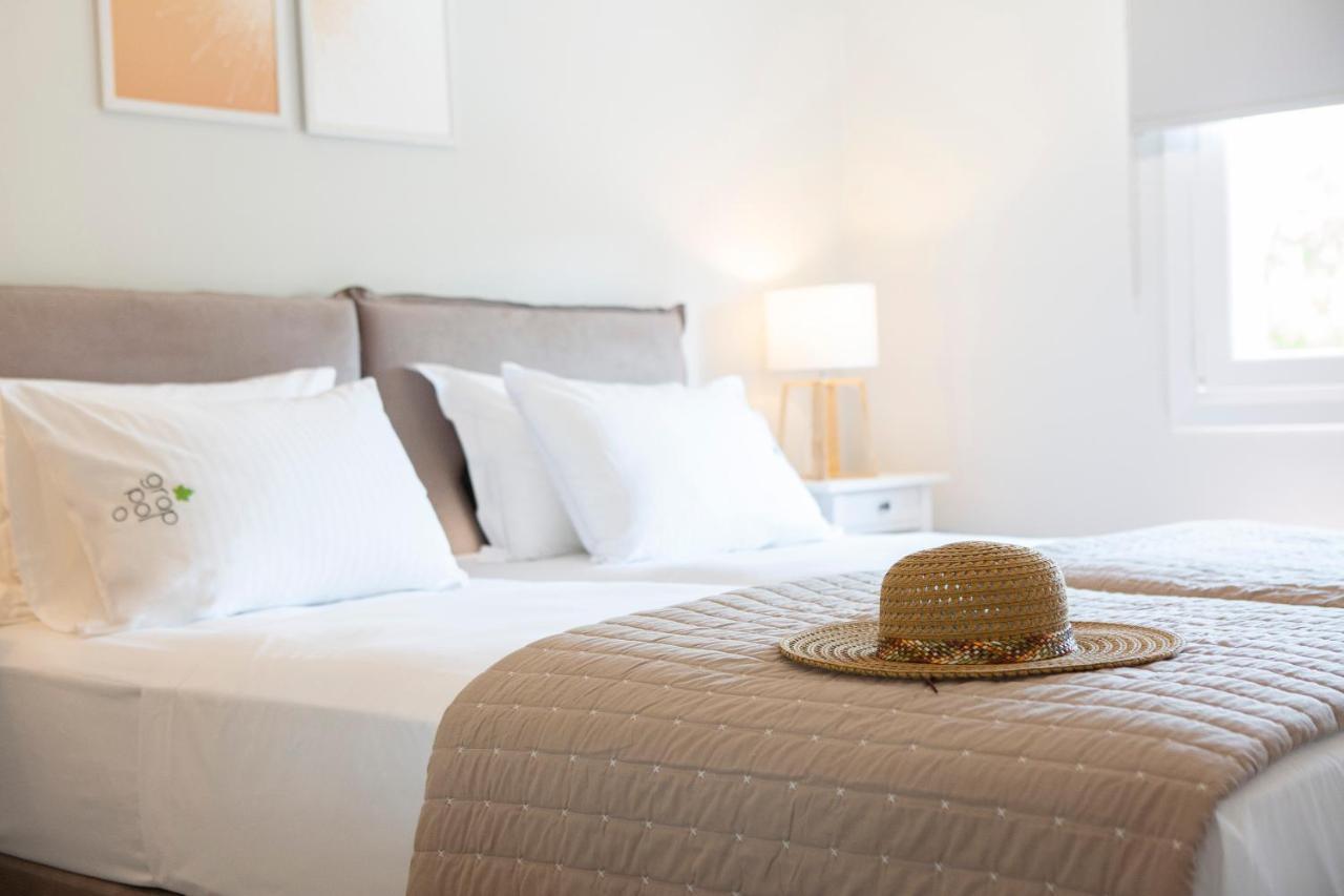 Grappolo Lefkada Villas - Vilana Ideal For Families And Small Groups Apolpaina Exterior photo